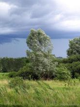Kobarid 9-16.07.2008