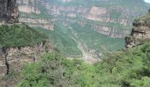 Rohacka w Chinach 2013